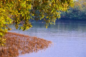 中国四国カップルにおすすめの紅葉を楽しめる貸切温泉ペアプランの人気宿は？