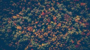 写真好きカップルのための紅葉を楽しむ貸切温泉ペアプランでの誕生日サプライズは？